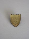 QW9 N2 68 - insigna - militar - Batalionul 10 infanterie 10 ani - 2005, Romania de la 1950