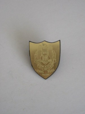 QW9 N2 68 - insigna - militar - Batalionul 10 infanterie 10 ani - 2005 foto