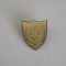 QW9 N2 68 - insigna - militar - Batalionul 10 infanterie 10 ani - 2005