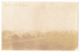 2053 - CILIBIA, Buzau, Railway Station - old postcard, real PHOTO - unused, Necirculata, Fotografie