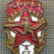 Y 908 INSIGNA - SPORTIVA - ,,CT 1&quot; CCCP -URSS -PENTRU COLECTIONARI