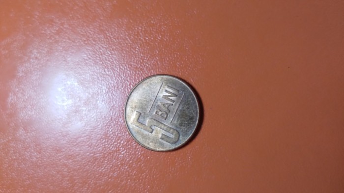 MONEDA 5 BANI 2020