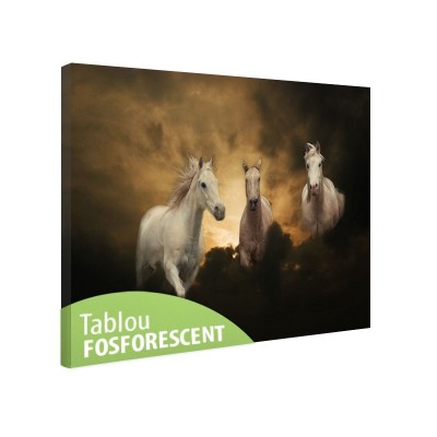 Tablou fosforescent Trei cai albi - 30 cm x 20 cm foto