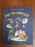 Pui de greier - Domnita Georgescu 1967 / R6P3S, Alta editura