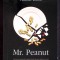 MR. PEANUT-ADAM ROSS-334207