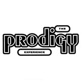 Prodigy The Experience LP gatefold (vinyl)