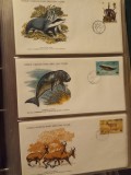 FAUNA WWF - 3 PLICURI PRIMA ZI