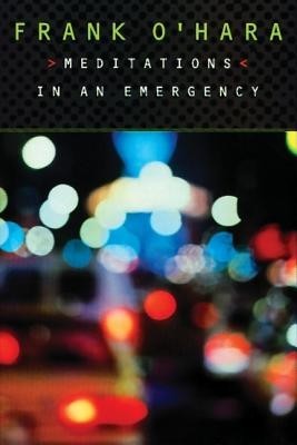Meditations in an Emergency foto