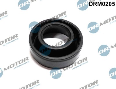 Etansare, Suport Injector 307583 DRM0205 foto