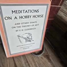 Meditations on a hobby horse and other essays n the theory of art - E. Gombrich