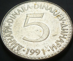 Moneda 5 DINARI - YUGOSLAVIA, anul 1991 *cod 2836 foto