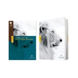 NLT Courage for Life Study Bible for Men (Hardcover, Filament Enabled)