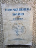 FLORA MICĂ ILUSTRATĂ A ROM&Acirc;NIEI * IULIU PRODAN * 1928