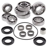 Cumpara ieftin Set de rulment diferential si garnitura Spate pentru POLARIS SCRAMBLER 500 2001-2012