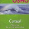 Osho - Curajul. Plăcerea de a trăi periculos