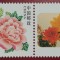 China 2004 - bujor, neuzata
