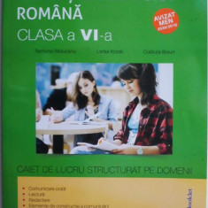 Limba si literatura romana. Caiet de lucru structurat pe domenii (clasa a VI-a) – Ramona Raducanu