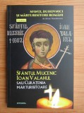 Silvian Theodorescu - Sfantul Mucenic Ioan Valahul sau curatenia...