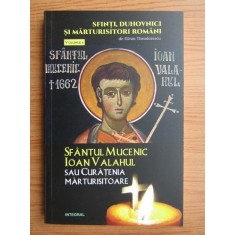 Silvian Theodorescu - Sfantul Mucenic Ioan Valahul sau curatenia...