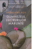 Dumnezeul lucrurilor marunte - Roy, Arundhati