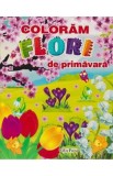 Coloram flori de primavara, Autor Anonim