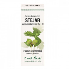 Extract din muguri de Stejar, 50ml, PlantExtrakt