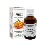 Extract din muguri de CATINA, 50 ml, Plantextrakt