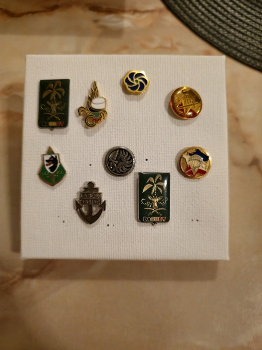 Insigne militare franta legiunea franceza