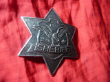 Insigna Sheriff Texas - metal ,Firma Ideal DBGM , d=8,6cm
