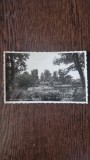 Carte Postala - Bucuresti. Gradina Cismigiu