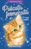 Cumpara ieftin Pisicuța fermecată. O vară vrăjită