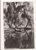 RF67 -Carte Postala- Bucuresti, Lacul Herastrau, necirculata