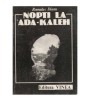 Romulus Dianu - Nopti la Ada-Kaleh, Vinea 1990, 171 pagini, roman
