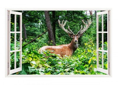Sticker decorativ, Fereastra 3D, Cerb, 85 cm, 308STK foto