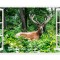 Sticker decorativ, Fereastra 3D, Cerb, 85 cm, 308STK