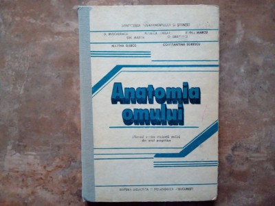 ANATOMIA OMULUI , MANUAL PENTRU STUDENTII STRAINI DIN ANUL PREGATITOR de D. MISCALENCU ...CONSTANTINA SORESCU , 1991 foto