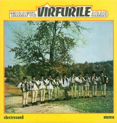 Taraful Virfurile Arad - Taraful Varfurile Arad - Rupta (Vinyl) foto