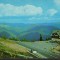 CPI B12409 CARTE POSTALA - SINAIA. CABANA BRADET