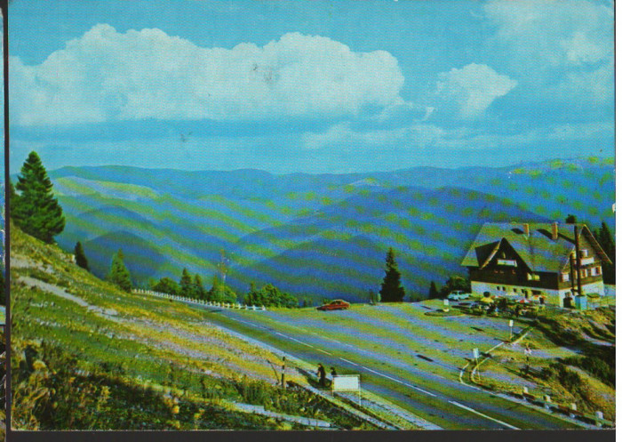 CPI B12409 CARTE POSTALA - SINAIA. CABANA BRADET