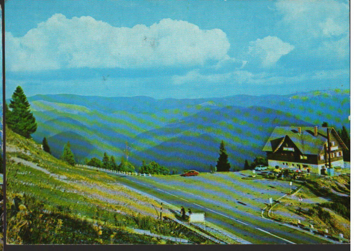 CPI B12409 CARTE POSTALA - SINAIA. CABANA BRADET