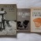 NICOLAE LABIS - ALBUM MEMORIAL + VARSTA DE BRONZ. POEZII + DESCRIEREA CHIPURILOR
