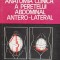 Anatomia Clinica A Peretelui Abdominal Antero-lateral - L. S. Bratucu, Al. Vaida , D747