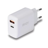 Cumpara ieftin Incarcator Lindy USB A &amp; C, 65W, putere intrare 100-240VAC,