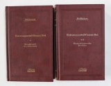 EXTRAVAGANTUL CONAN DOI ( DE-A PUIA-GAIA , DE-A BABA-OARBA ) , VOLUMELE I - II de VLAD MUSATESCU , 2009 *EDITIE DE LUX , * MICI DEFECTE