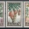Algeria 1950 Mi 290/92 - Fructe
