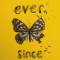 Ever Since