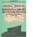 Rezistenta armata din muntii Fagaras: Grupul Ion Gavrila-Ogoranu 1949-1955 - Radu Ciuceanu, Adrian Brisca