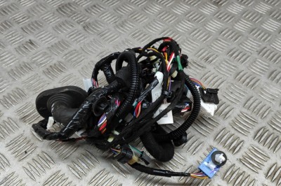 Cablaj ușă st&amp;acirc;nga față TESLA MODEL 3 2021 OEM: 3067957-02-C 22280623 foto