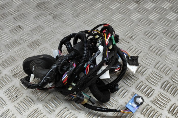 Cablaj ușă st&acirc;nga față TESLA MODEL 3 2021 OEM: 3067957-02-C 22280623