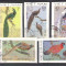 Vietnam 1979 Birds, IMPERFORATE used E.116